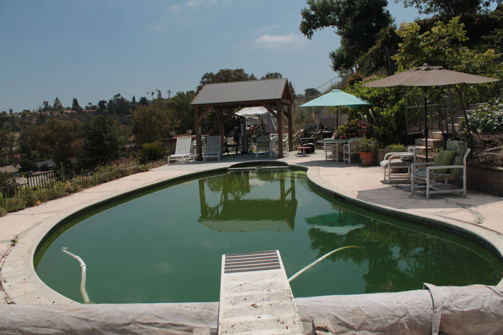 Freeform-Diving-Pool-Before-Renovation