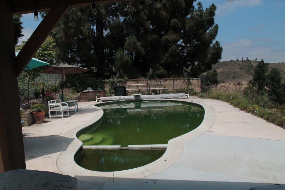Freeform-Pool-Before-Renovation