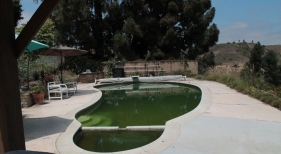 Freeform-Pool-Before-Renovation