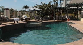 1_Freeform-Pool-with-Tanning-Ledge