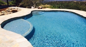 Freeform-Pool-with-Tanning-Ledge