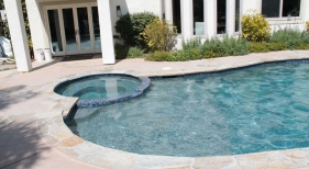 Freeform Pool with Leveled Spa and Tanning Ledge