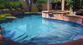 Custom Freeform Pool with Tanning Ledge and Tile